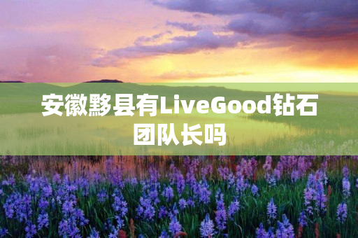 安徽黟县有LiveGood钻石团队长吗