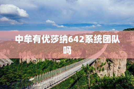 中牟有优莎纳642系统团队吗