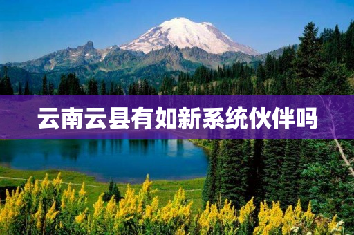 云南云县有如新系统伙伴吗