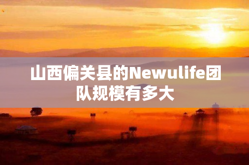 山西偏关县的Newulife团队规模有多大