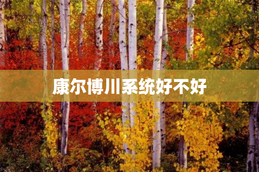 康尔博川系统好不好