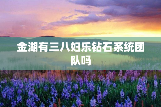 金湖有三八妇乐钻石系统团队吗