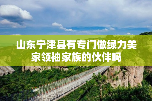山东宁津县有专门做绿力美家领袖家族的伙伴吗