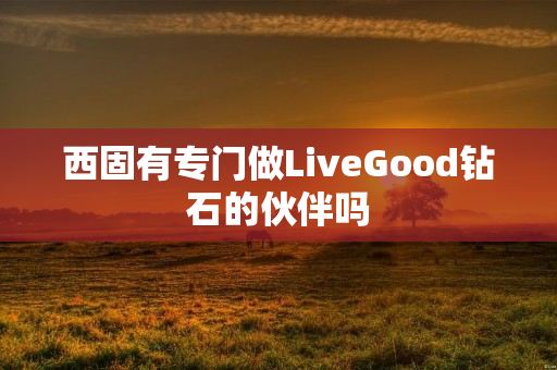 西固有专门做LiveGood钻石的伙伴吗