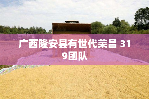 广西隆安县有世代荣昌 319团队