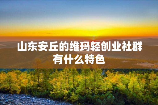 山东安丘的维玛轻创业社群有什么特色