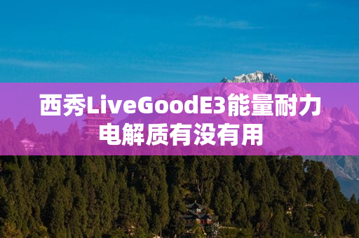 西秀LiveGoodE3能量耐力电解质有没有用