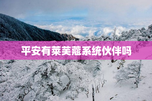 平安有莱芙蔻系统伙伴吗