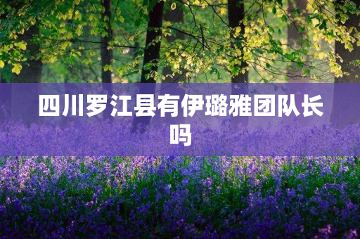 四川罗江县有伊璐雅团队长吗