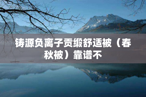 铸源负离子贡缎舒适被（春秋被）靠谱不