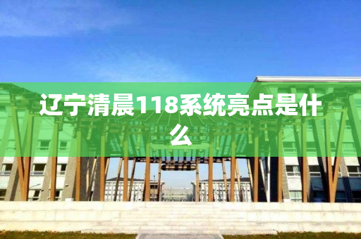 辽宁清晨118系统亮点是什么