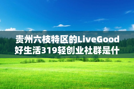 贵州六枝特区的LiveGood好生活319轻创业社群是什么