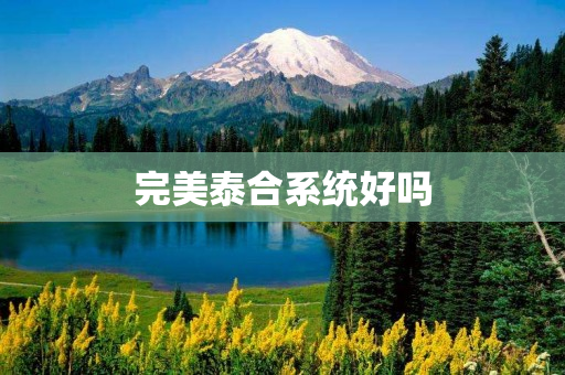 完美泰合系统好吗