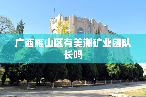 广西雁山区有美洲矿业团队长吗