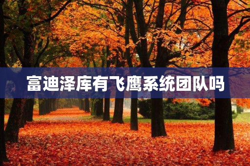 富迪泽库有飞鹰系统团队吗