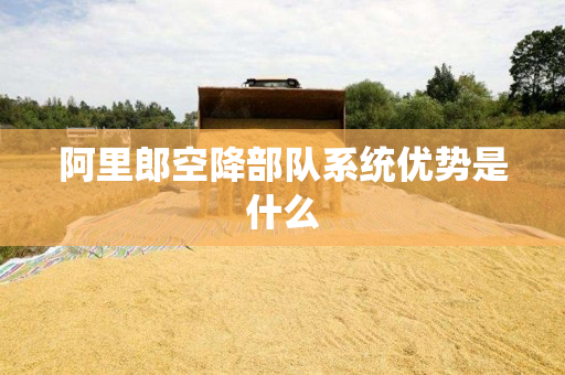 阿里郎空降部队系统优势是什么