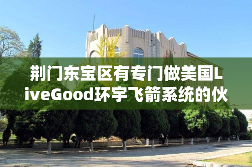 荆门东宝区有专门做美国LiveGood环宇飞箭系统的伙伴吗