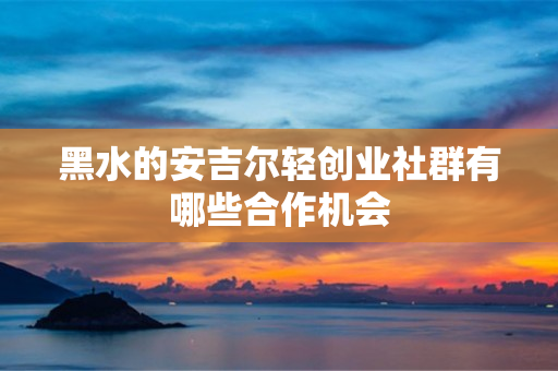 黑水的安吉尔轻创业社群有哪些合作机会