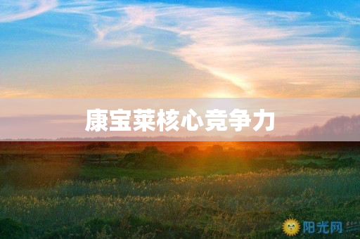 康宝莱核心竞争力