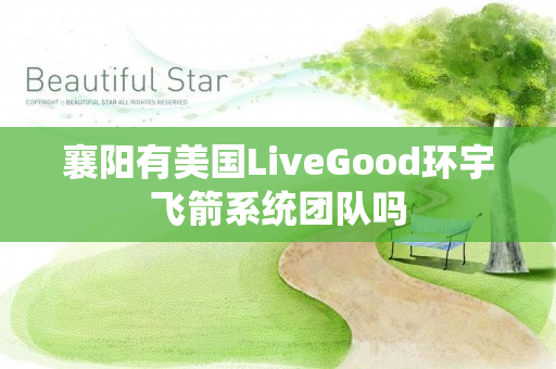 襄阳有美国LiveGood环宇飞箭系统团队吗