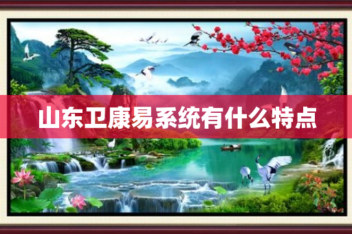 山东卫康易系统有什么特点