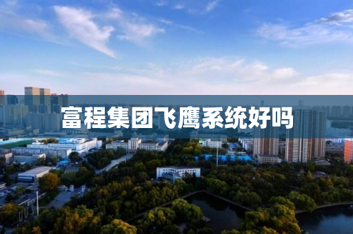富程集团飞鹰系统好吗