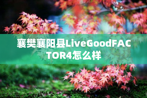 襄樊襄阳县LiveGoodFACTOR4怎么样