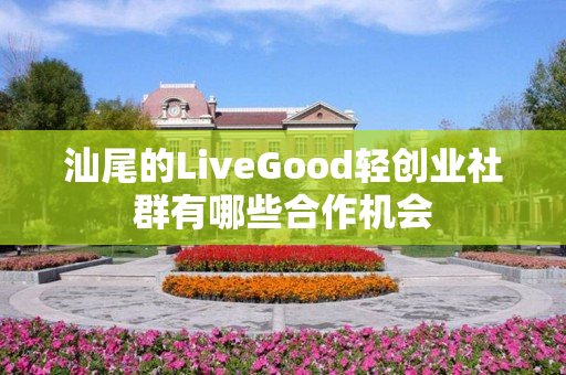 汕尾的LiveGood轻创业社群有哪些合作机会