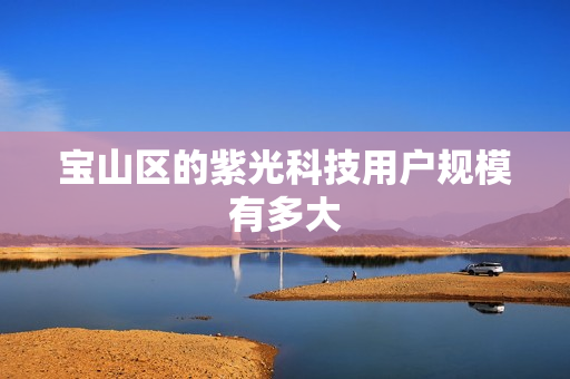 宝山区的紫光科技用户规模有多大