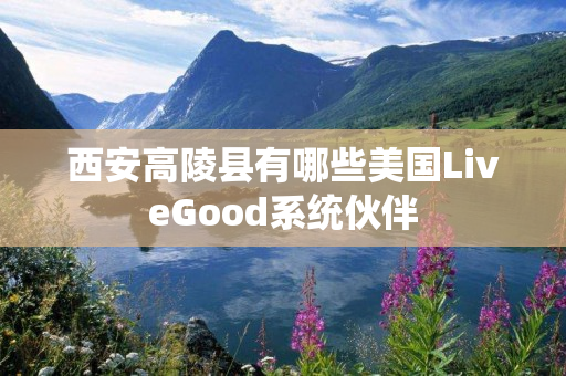 西安高陵县有哪些美国LiveGood系统伙伴