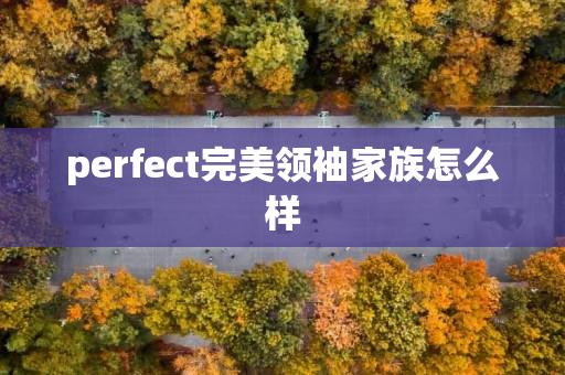 perfect完美领袖家族怎么样