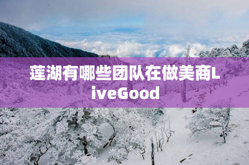 莲湖有哪些团队在做美商LiveGood