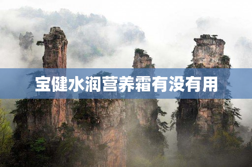宝健水润营养霜有没有用