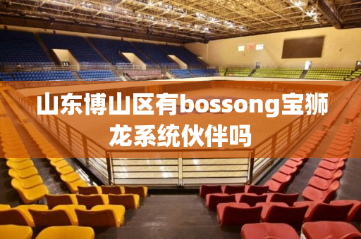 山东博山区有bossong宝狮龙系统伙伴吗