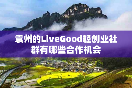 袁州的LiveGood轻创业社群有哪些合作机会