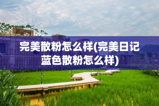 完美散粉怎么样(完美日记蓝色散粉怎么样)