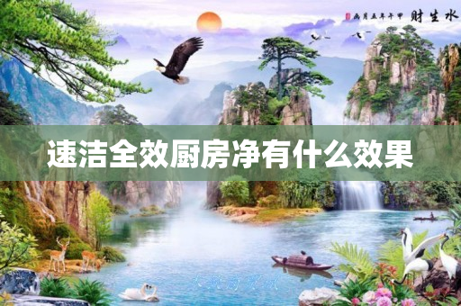 速洁全效厨房净有什么效果