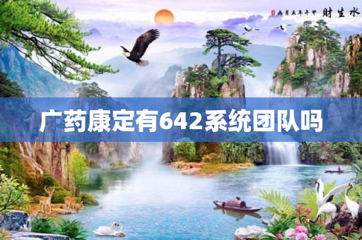 广药康定有642系统团队吗