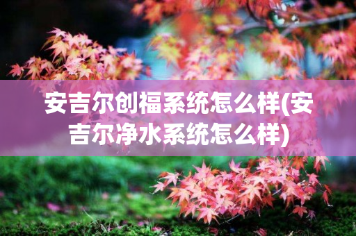安吉尔创福系统怎么样(安吉尔净水系统怎么样)