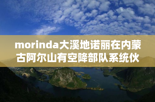 morinda大溪地诺丽在内蒙古阿尔山有空降部队系统伙伴吗
