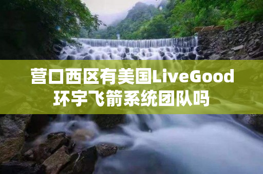 营口西区有美国LiveGood环宇飞箭系统团队吗