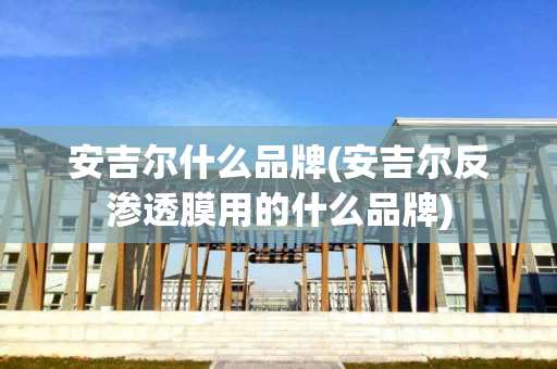 安吉尔什么品牌(安吉尔反渗透膜用的什么品牌)