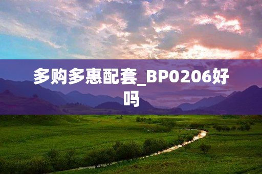 多购多惠配套_BP0206好吗