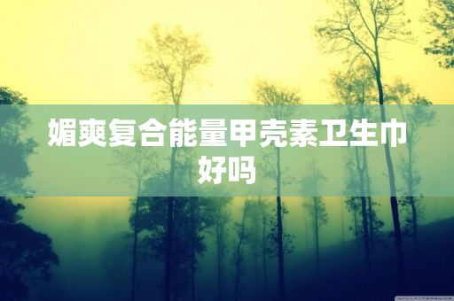 媚爽复合能量甲壳素卫生巾好吗