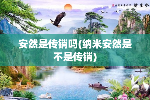 安然是传销吗(纳米安然是不是传销)