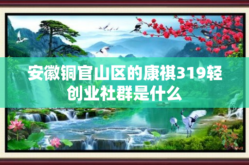 安徽铜官山区的康祺319轻创业社群是什么