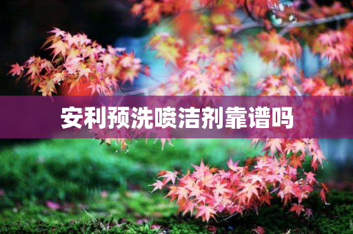 安利预洗喷洁剂靠谱吗