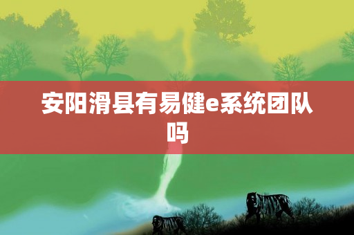 安阳滑县有易健e系统团队吗