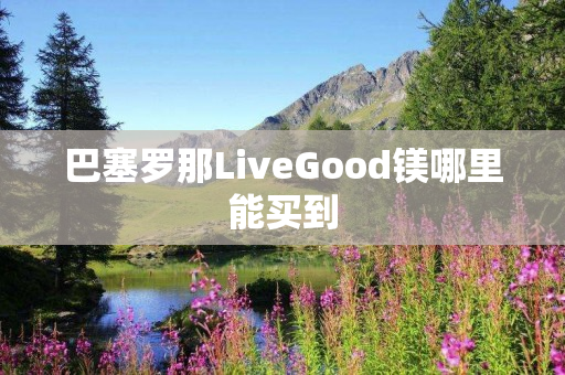 巴塞罗那LiveGood镁哪里能买到