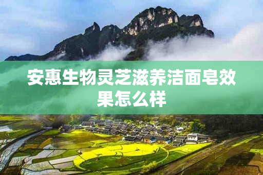 安惠生物灵芝滋养洁面皂效果怎么样